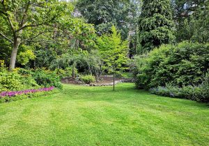 Optimiser l'expérience du jardin à Chateau-des-Pres